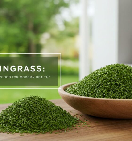 Lyposingrass: The Power Of Superfood For Modern Health