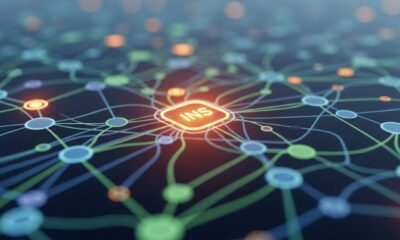 i̇ns: Strategies for Leveraging Information Networks Effectively