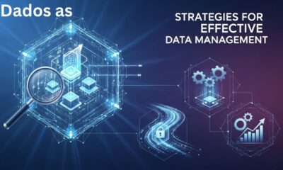 Dados as: Strategies for Effective Data Management