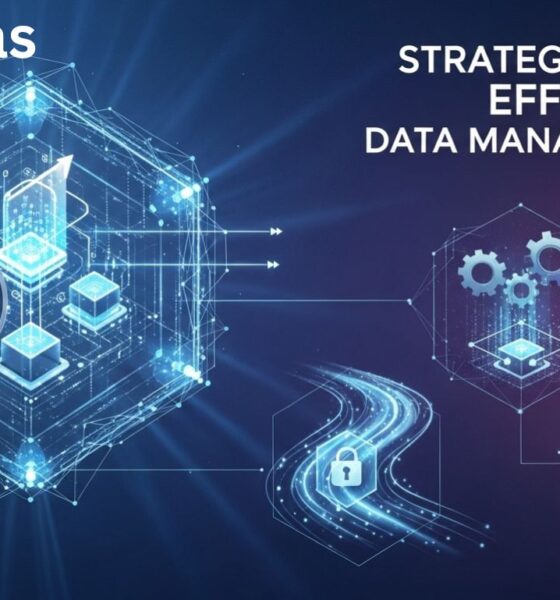 Dados as: Strategies for Effective Data Management