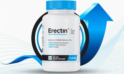 Erectn: Notable References and Their Interpretations