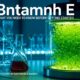 Bntamnh E: What You Need to Know Before Getting Started