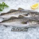 Alaskan Seiti: An In Depth Look at Its Nutritional Benefits