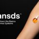 Transds: Breaking Down the Basics of Transdermal Systems