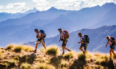 Gonewing com: Your Ultimate Guide to Adventure Travel